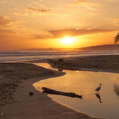A Découvrir au Costa Rica - Cahuita & Puerto Viejo