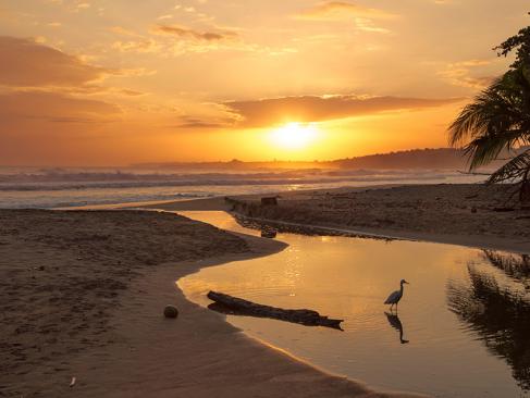A Découvrir au Costa Rica - Cahuita & Puerto Viejo