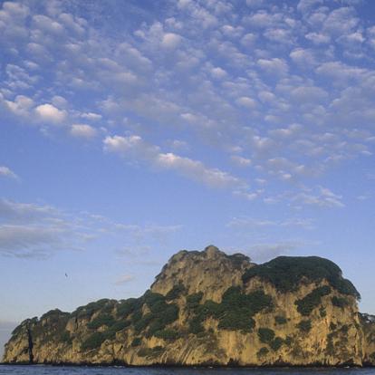 Parc National De L'île Cocos A Découvrir au Costa Rica - L'Ile de Cocos