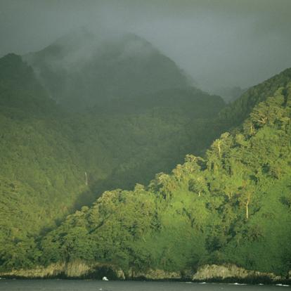 Parc National De L'île Cocos A Découvrir au Costa Rica - L'Ile de Cocos