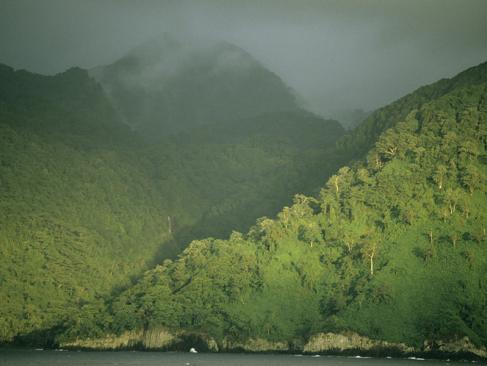 Parc National De L'île Cocos A Découvrir au Costa Rica - L'Ile de Cocos