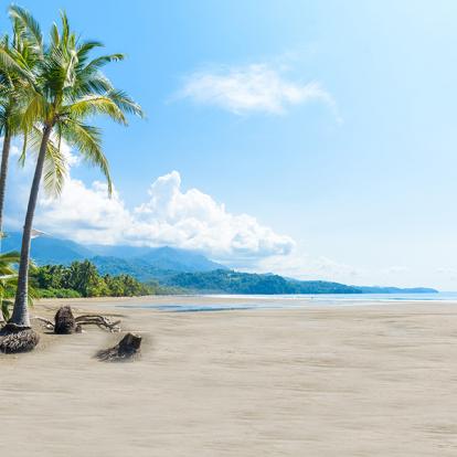 A Découvrir au Costa Rica - La Côte Pacifique Sud