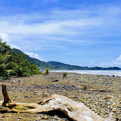 A Découvrir au Costa Rica - La Côte Pacifique Sud