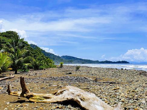 A Découvrir au Costa Rica - La Côte Pacifique Sud