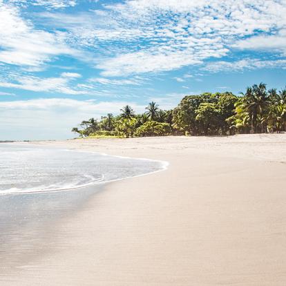Playa Carmen, Près De Santa Teresa A Découvrir au Costa Rica - La Péninsule de Nicoya