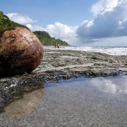 Montezuma A Découvrir au Costa Rica - La Péninsule de Nicoya