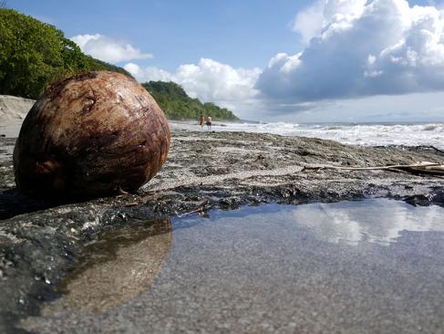 Montezuma A Découvrir au Costa Rica - La Péninsule de Nicoya