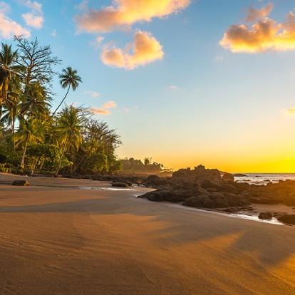 A Découvrir au Costa Rica - La Péninsule de Osa