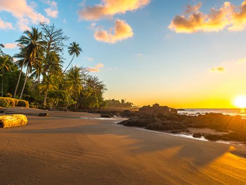 A Découvrir au Costa Rica - La Péninsule de Osa