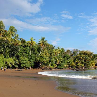 A Découvrir au Costa Rica - La Péninsule de Osa