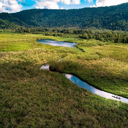 A Découvrir au Costa Rica - La Péninsule de Osa