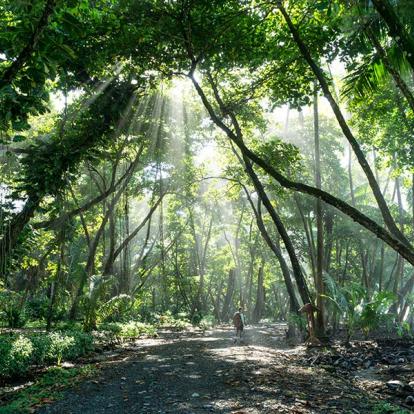 A Découvrir au Costa Rica - La Péninsule de Osa