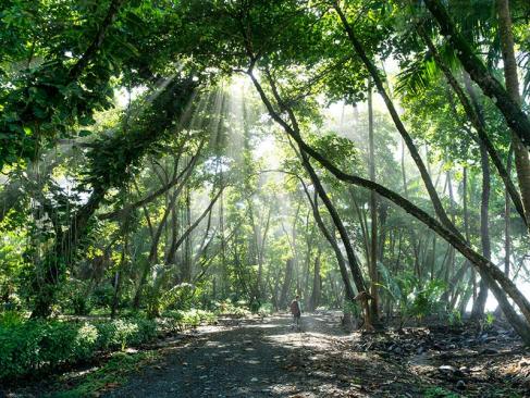 A Découvrir au Costa Rica - La Péninsule de Osa