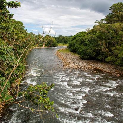 A Découvrir au Costa Rica - La Vallée de Sarapiqui
