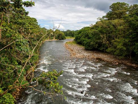 A Découvrir au Costa Rica - La Vallée de Sarapiqui