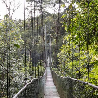 A Découvrir au Costa Rica - La Vallée de Sarapiqui