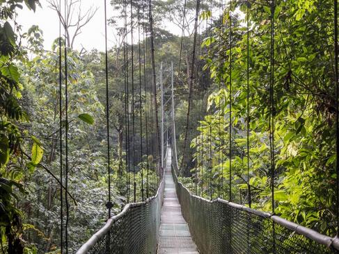 A Découvrir au Costa Rica - La Vallée de Sarapiqui