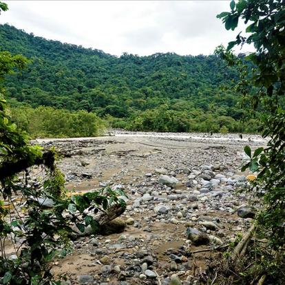A Découvrir au Costa Rica - La Vallée de Sarapiqui