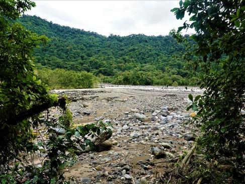 A Découvrir au Costa Rica - La Vallée de Sarapiqui