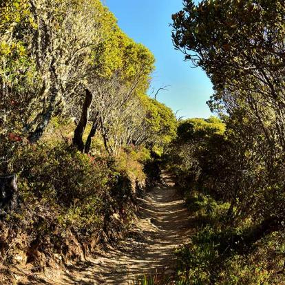 A Découvrir au Costa Rica - Cerro Chirripo