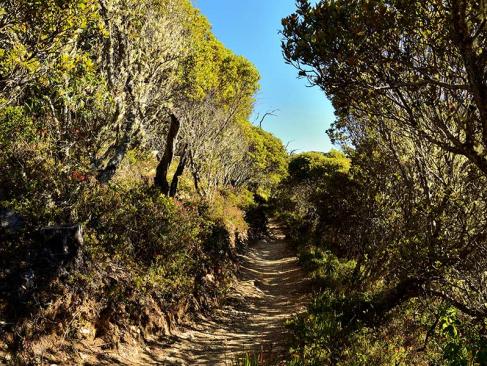 A Découvrir au Costa Rica - Cerro Chirripo