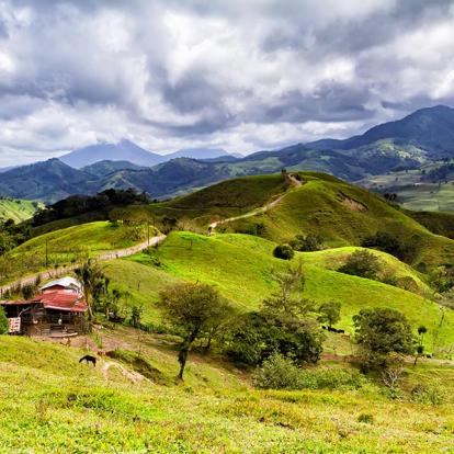 A Découvrir au Costa Rica - Monteverde