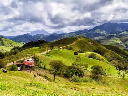 A Découvrir au Costa Rica - Monteverde