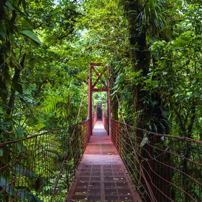 A Découvrir au Costa Rica - Monteverde