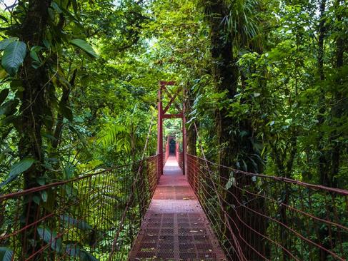 A Découvrir au Costa Rica - Monteverde