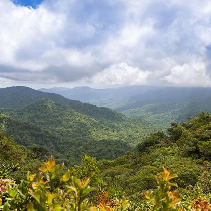 A Découvrir au Costa Rica - Monteverde