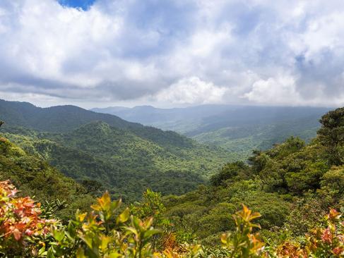 A Découvrir au Costa Rica - Monteverde