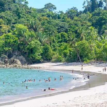 Parc National De Manuel Antonio A Découvrir au Costa Rica -  Le Parc National de Manuel Antonio
