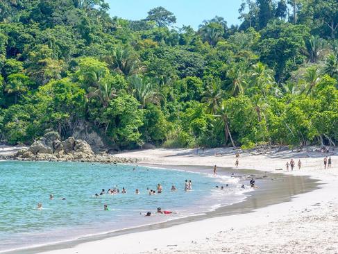 Parc National De Manuel Antonio A Découvrir au Costa Rica -  Le Parc National de Manuel Antonio