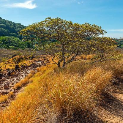 A Découvrir au Costa Rica - Le Parc National Rincon de la Vieja
