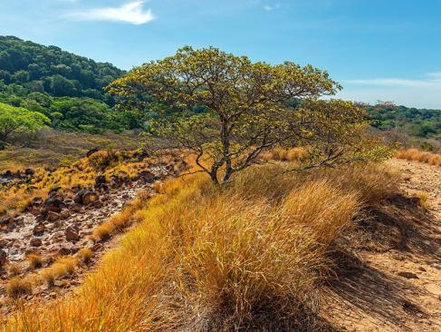 A Découvrir au Costa Rica - Le Parc National Rincon de la Vieja