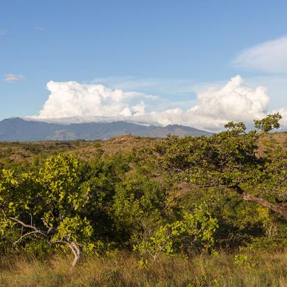 A Découvrir au Costa Rica - Le Parc National Rincon de la Vieja