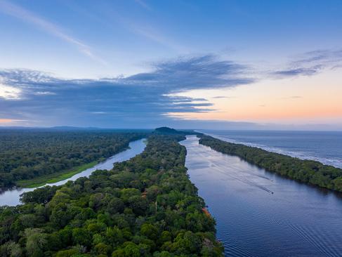A Découvrir au Costa Rica - Parc National de Tortuguero