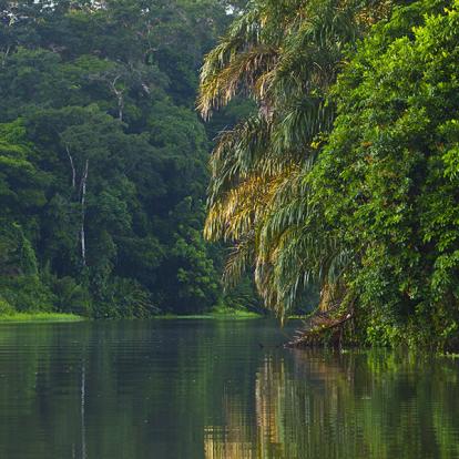 A Découvrir au Costa Rica - Parc National de Tortuguero