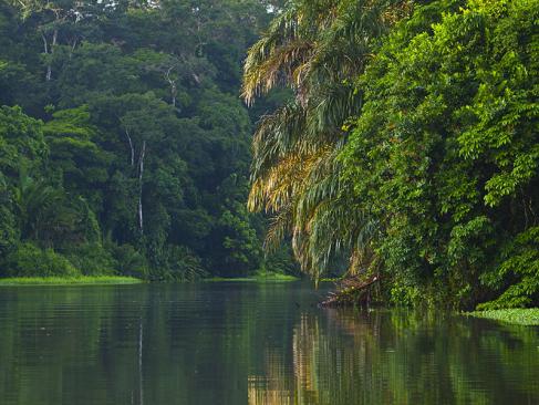 A Découvrir au Costa Rica - Parc National de Tortuguero