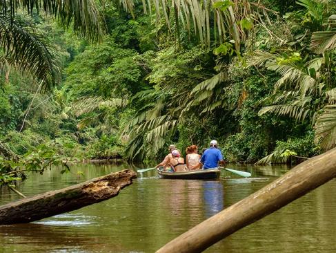 A Découvrir au Costa Rica - Parc National de Tortuguero