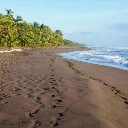 A Découvrir au Costa Rica - Parc National de Tortuguero
