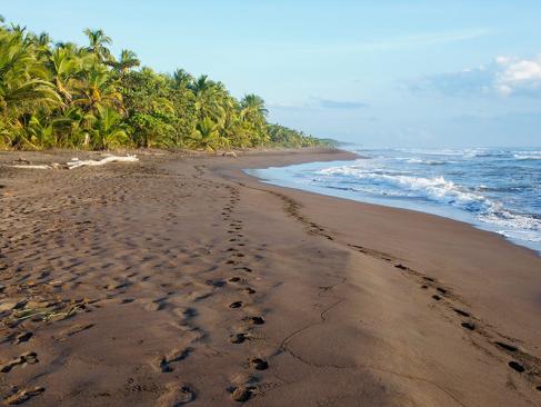 A Découvrir au Costa Rica - Parc National de Tortuguero