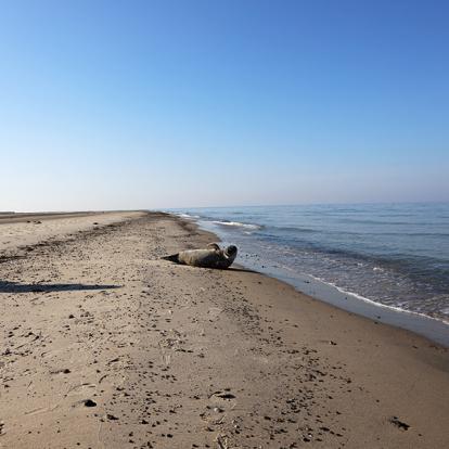A Découvrir au Danemark - Grenen