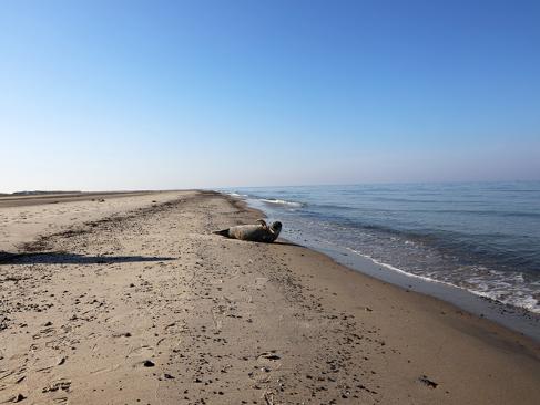 A Découvrir au Danemark - Grenen
