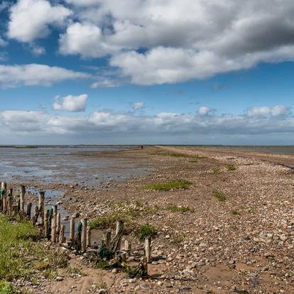 Ile de Mando A Découvrir au Danemark - Mando