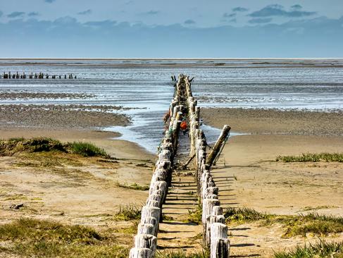 A Découvrir au Danemark - Mando