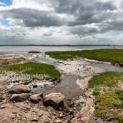 A Découvrir au Danemark - Mando