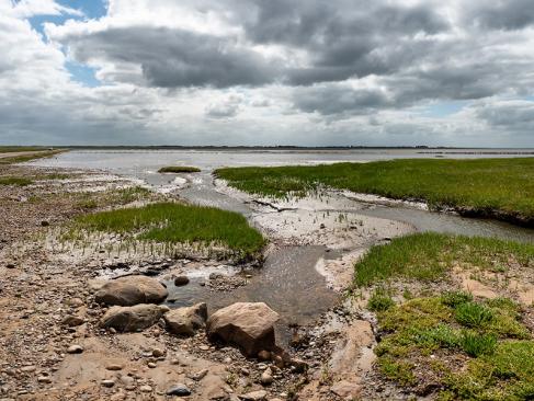 A Découvrir au Danemark - Mando