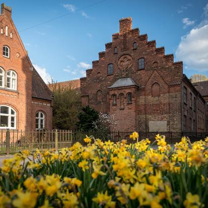A Découvrir au Danemark - Odense