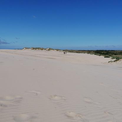 Råbjerg Mile - Dunes de sable et désert dans le nord du Jutland à l'extérieur de Skagen A Découvrir au Danemark - Skagen